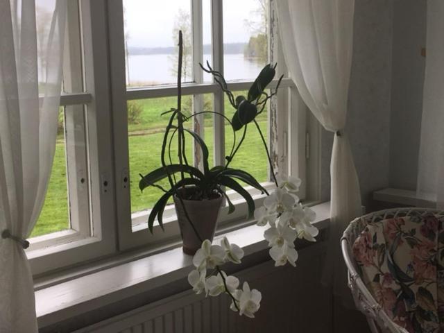 Lomatila Ollila Farm Stay Kerimäki Buitenkant foto