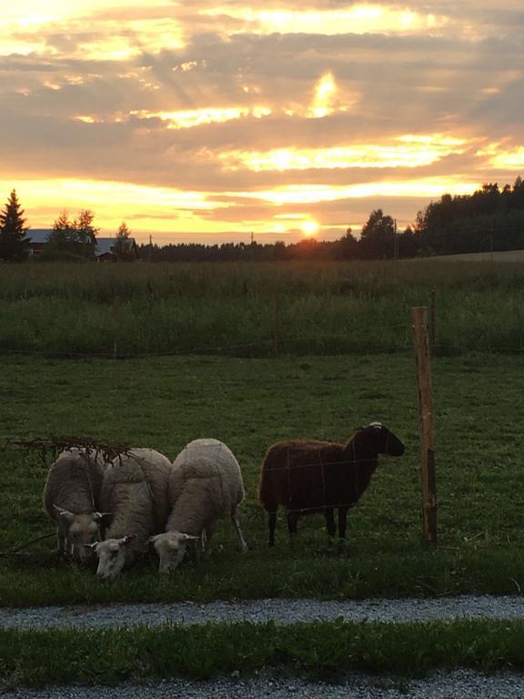 Lomatila Ollila Farm Stay Kerimäki Buitenkant foto