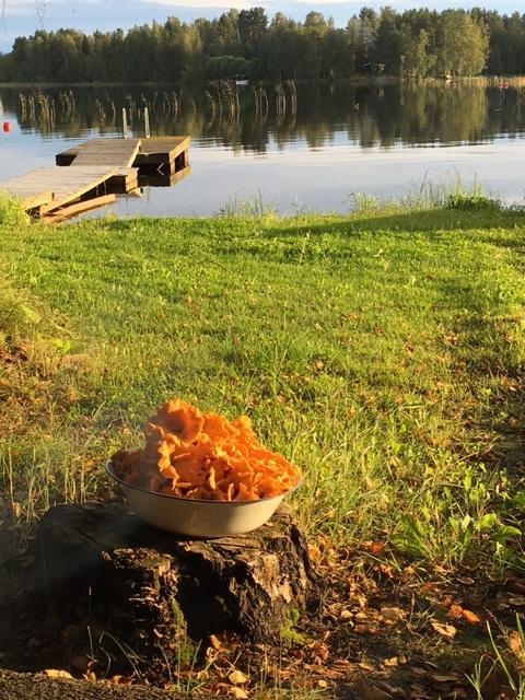 Lomatila Ollila Farm Stay Kerimäki Buitenkant foto